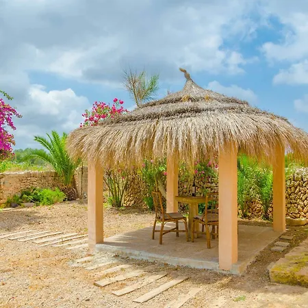Hotel Albenyeta 3*